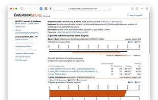 Blast analysis - overview of results
