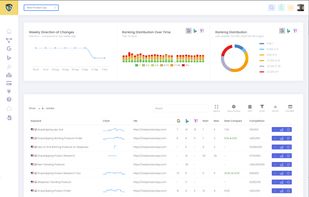 SERP Tracker Ranking Report Page