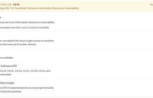 SERVERWAT.CH Security Scanner screenshot 3