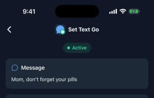 Set Text Go screenshot 2