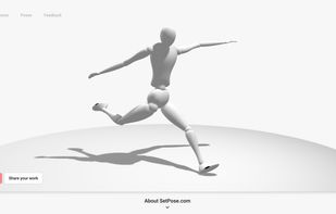 SetPose screenshot 1