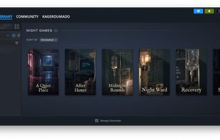 Steam library shown in a macOS window.