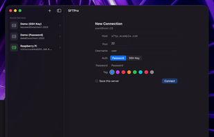 Demo GIF