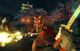 Shadow Warrior (Reboot) screenshot 1