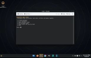 Shadowfetch Linux screenshot 1