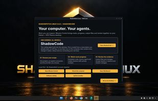 Shadowfetch Linux screenshot 1