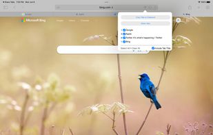 Share Tabs for Safari screenshot 1
