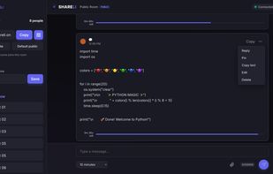The Shareli message interface featuring automatic syntax highlighting for code snippets. The image highlights the message context menu, which gives users the ability to Reply, Pin, Copy, Edit, or Delete their messages on the fly, proving that ephemeral and anonymous chat can still be feature-rich.