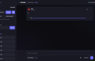 The Shareli Public Room demonstrating real-time messaging with multiple users. The left sidebar shows the auto-generated anonymous display names (e.g., Guest 01, Guest 02) assigned to users upon joining without any registration required.