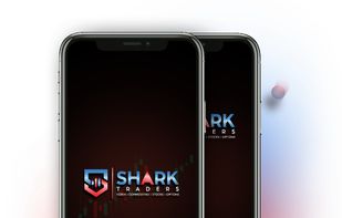 Shark Traders screenshot 3