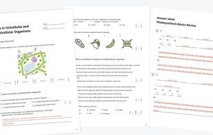 Download multi-page worksheets and automatically generated answer keys as print-ready PDFs.