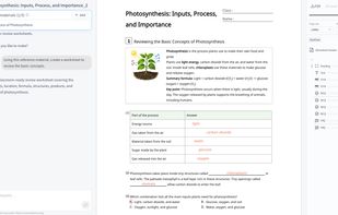 Create a structured, classroom-ready worksheet by describing what you need in everyday language.