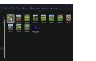 Shelfit screenshot 1