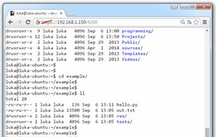 Shell In A Box screenshot 1