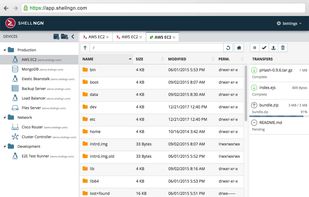 Shellngn screenshot 3