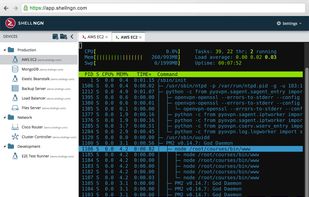 Shellngn screenshot 1