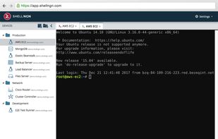 Shellngn screenshot 1
