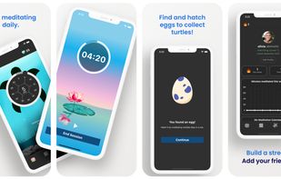 Shellevate screenshot 1