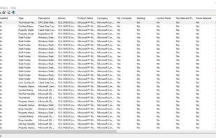 ShellExView screenshot 1