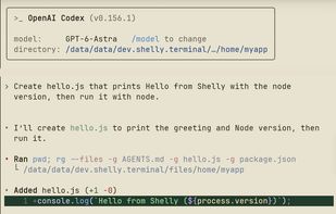 Codex CLI running in Shelly's own terminal