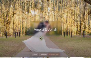 Branded client photo gallery with favorites, selections, and downloads.