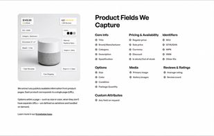 Capture product details, pricing, availability, and images automatically