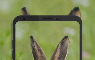 Shot on Watermark on Photo screenshot 1