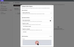 Choose the app or display to capture and set the click marker before starting Action Capture.