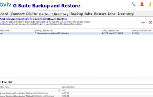 Shoviv Google Workspace Backup screenshot 2