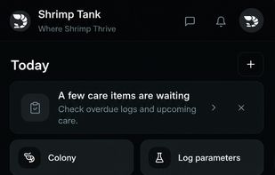 Shrimp Tank screenshot 3