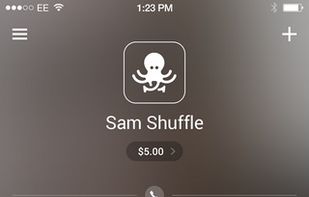 Shuffle screenshot 1