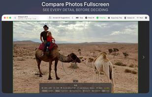 Zoom in for more detail.