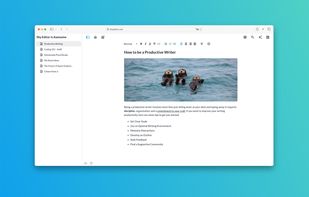 Shy Editor screenshot 1