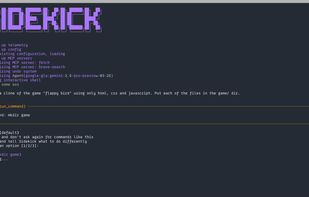 Sidekick CLI screenshot 1