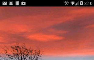 Silhouette Live Wallpaper screenshot 2