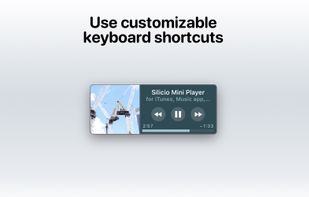 Silicio Mini Player screenshot 3
