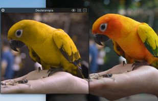 Sim Daltonism screenshot 1