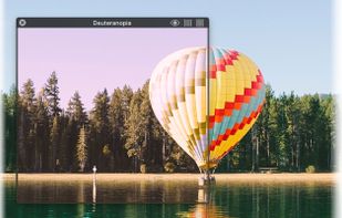 Sim Daltonism screenshot 2