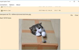 Simple Gopher Client screenshot 2