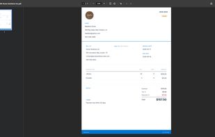 Professional PDF invoice with branded header and blue footer