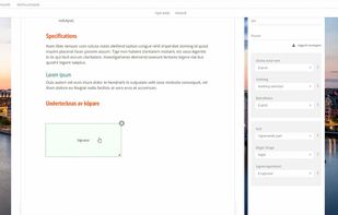 In-browser document editor