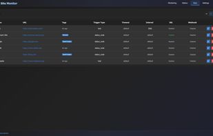 Simple Site Monitor screenshot 2