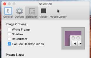 customizable resolution presets