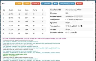 Detailed informations about one rig