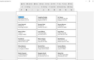 SimpleOne Label Maker Pro screenshot 1