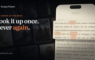 Simply Fluent screenshot 2