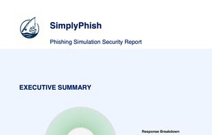 Actionable, professional phishing simulation reports