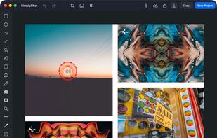 SimplyShot screenshot editor with annotation tools and a red dashed ellipse highlighting a detail.