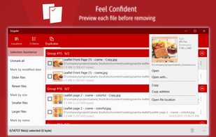 Singuler: Duplicate Removal Tool screenshot 1