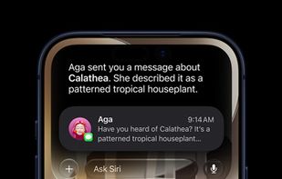 Siri AI screenshot 1